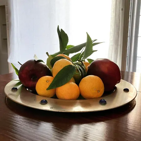 Gli Archi E Le Stelle *