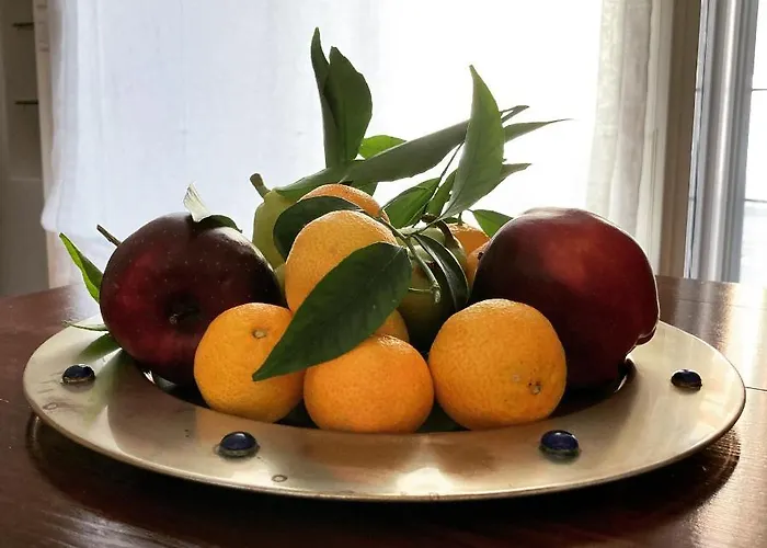 Gli Archi E Le Stelle *